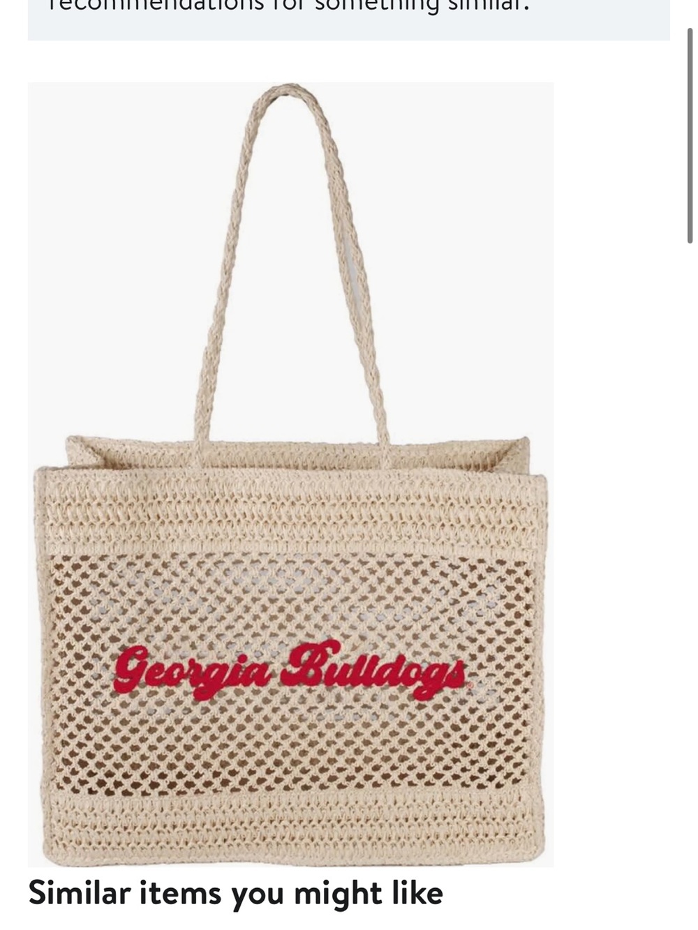 NEW Georgia Bulldogs Coastal Tote